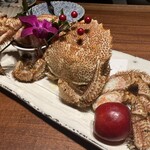 薄野 肉海鮮炉端 芯々 - 