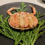 レストラン オオツ - 金沢産香箱蟹