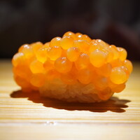 佐野鮨 - ◇イクラ
                    厚みのある皮をグリップすれば見た目を裏切らないミルキー且つ芳醇な味わいでシャリを染める