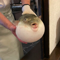 ふぐ御料理處 でん - 