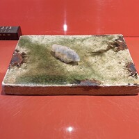 鮨　銀座　鰤門 - 