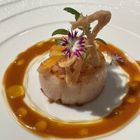 ジョンティ アッシュ -  ジョンティ アッシュ -