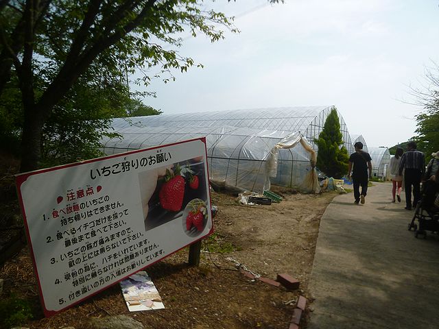 信貴山のどか村 イチゴ狩り 奈良 By 神戸の金庫屋のバカ息子 信貴山のどか村 高安山 その他 食べログ 信貴山のどか村 イチゴ狩り 奈良 By 神戸の金庫屋のバカ息子 信貴山のどか村 高安山 その他 食べログ