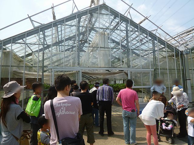 信貴山のどか村 イチゴ狩り 奈良 By 神戸の金庫屋のバカ息子 信貴山のどか村 高安山 その他 食べログ 信貴山のどか村 イチゴ狩り 奈良 By 神戸の金庫屋のバカ息子 信貴山のどか村 高安山 その他 食べログ