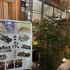 博多前炉ばた一承 福岡本店