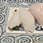 日本料理FUJI - アオリイカと平目のお造り 蕪