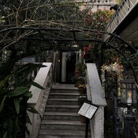 表参道バンブー - 