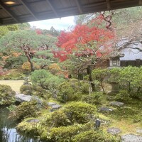 南禅寺参道 菊水 - 