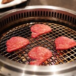 YORONIKU TOKYO AZABUDAIHILLS - カメノコ