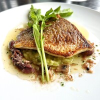 THE COSMOPOLITAN GRILL BAR TERRACE - 