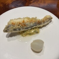 馳走西健一 - 駿河湾の泳がせ大和カマスフリット、ゆで卵玉葱ケールのタルタル