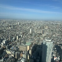 オーシャン カシータ - 景色は良いけど埼玉側なので目立ったものがない
