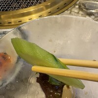 肉の匠 将泰庵  船橋本店 - 