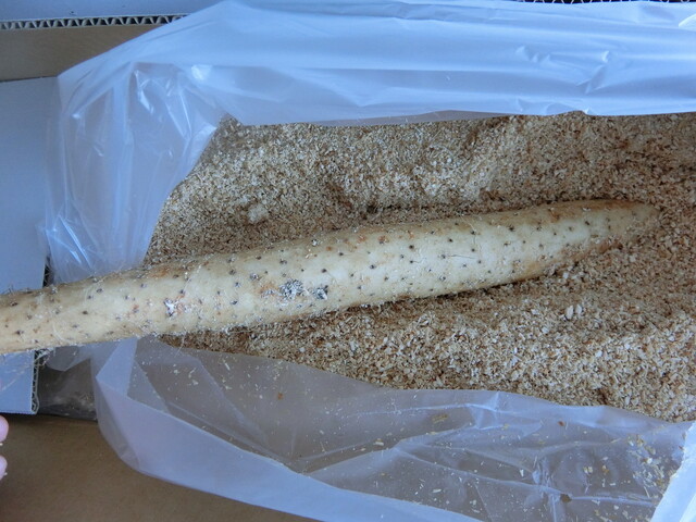 (有)道下広長農場 - 中札内村その他（その他）の写真