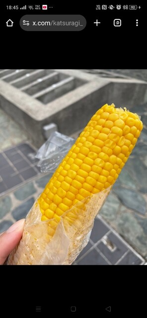 総本家 栃泉 - 新温泉町その他/和菓子 | 食べログ