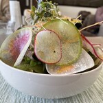 KITCHEN ぬまた - サラダ（標高）