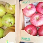 よってけポポラ - 