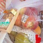 よってけポポラ - 