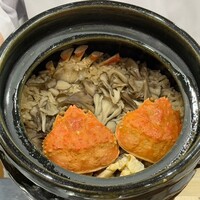 金澤 せつ理 - 