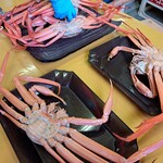 新湊漁港 かに小屋 - 