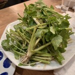 永楽食堂 - セリサラダ