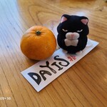 カフェアンドダイニング デイズ - 