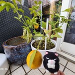 カフェアンドダイニング デイズ - 