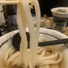 讃岐うどん 白庵