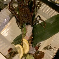 ツキと寿っぽん -  ツキと寿っぽん -