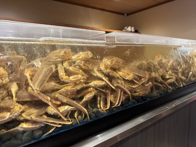 Yama Yoshi Kyoto Shijo Kawaramachi Ten photo 2