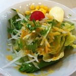 カレー専門店cafe New Delhi -  ニューデリースペシャルセット￥1450　サラダ