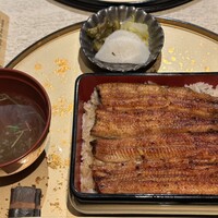 うなぎ 目白ぞろ芽 - 