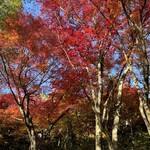 うなぎ屋 廣川 - 