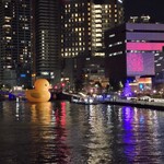 鶏匠 膳 - なんか浮かんでた