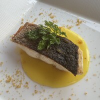 レオーネ・マルチアーノ - 鮮魚のソテー　じゃが芋とサフランのクリーム ボッタルガ添え