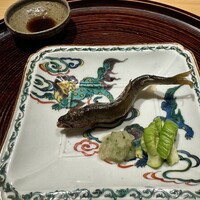 麻布さおとめ - 