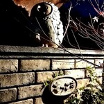 天ぷら もっこす - 