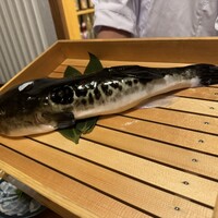 とらふぐ専門 ふぐ中俣 - 