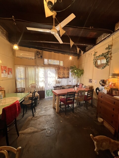 Pipinera Kitchen photo 4