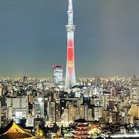スカイグリルブッフェ武藏 - シャンと聳え立つスカイツリーの美景