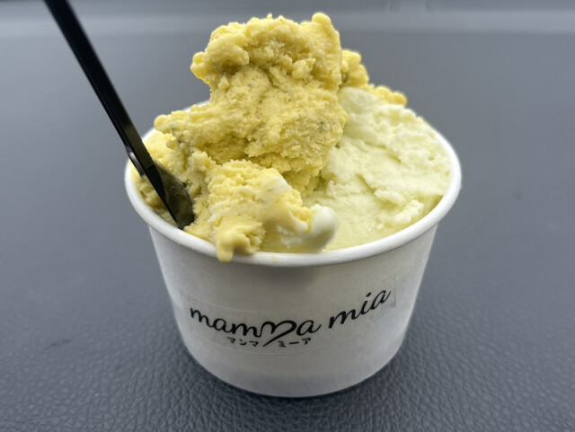 ジェラテリア mamma mia （マンマミーア） - 用瀬/ジェラート・アイス