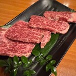 地鶏の里 永楽荘 - 