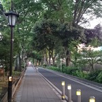 Kumagai Kohi -  氷川参道