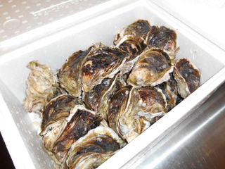 FISHERMAN'S MARKET OYSTER BAR - 