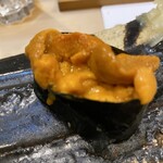 うを徳 - 馬糞海胆