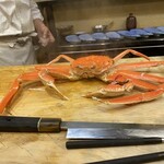 うを徳 - 鳥取県 松葉蟹 