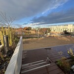 スターバックスコーヒー - 