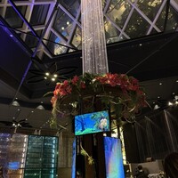 リュクス ダイニング ハプナ - 