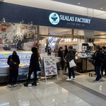 シーラス ファクトリー - 外観