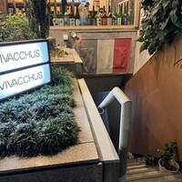 ヴィヴァッカス - 
